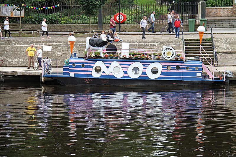 DRAGON BOAT RACE 10 July 2016 - 13 of 549 - DRAGON BOAT RACES 2016 York Rotary Club