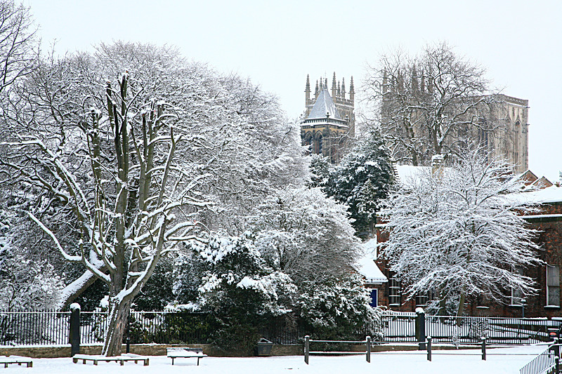 JANUARY 2010-3 - FOUR SEASONS MUSEUM GARDENS