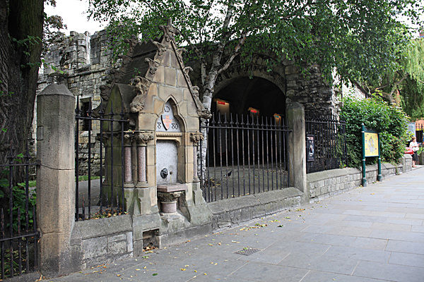 IMG_7481 - MUSEUM GARDENS