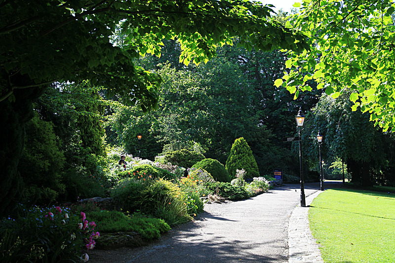 JUNE 2015-18 - FOUR SEASONS MUSEUM GARDENS
