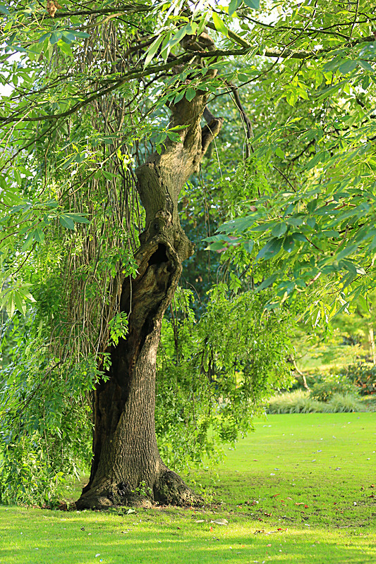 SEPTEMBER  2014  -8 - FOUR SEASONS MUSEUM GARDENS