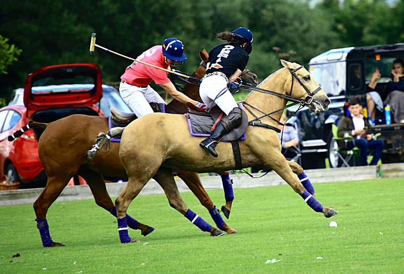 BV6R6825 - WHITE ROSE POLO CLUB LADIES DAY