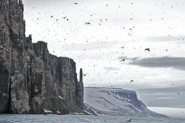 IMG_8065_2 - SVALBARD 2013