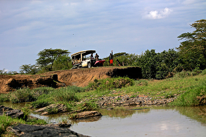  - MASAI MARA, KENYA  OCT 2014