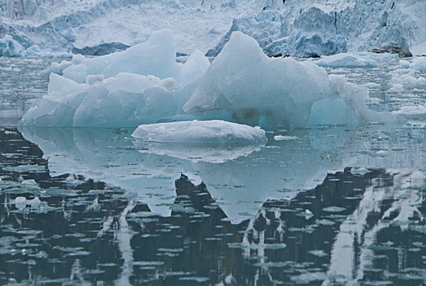 IMG_7649Ice Flower MONACO GLACIER SVALBAD copy - SVALBARD 2013