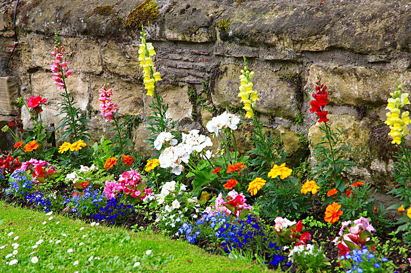 IMG_3414 - MALTON IN BLOOM 2017