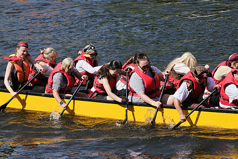 THE YORK ROTARY DRAGON BOAT CHALLENGE 2026 - 320 of 426 - DRAGON BOAT RACE 2026. York Rotary Club.