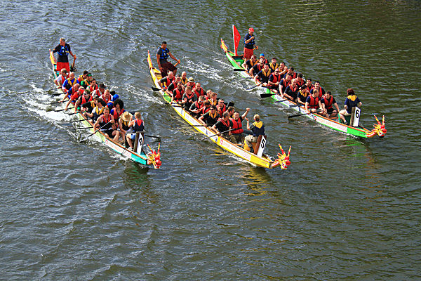 IMG_9241 - DRAGON BOAT RACE 2013 York Rotary Club