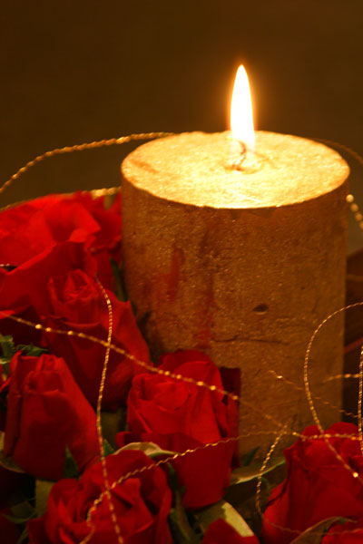 19 Roses - CHRISTMAS