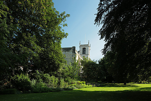 IMGL7748 - MUSEUM GARDENS