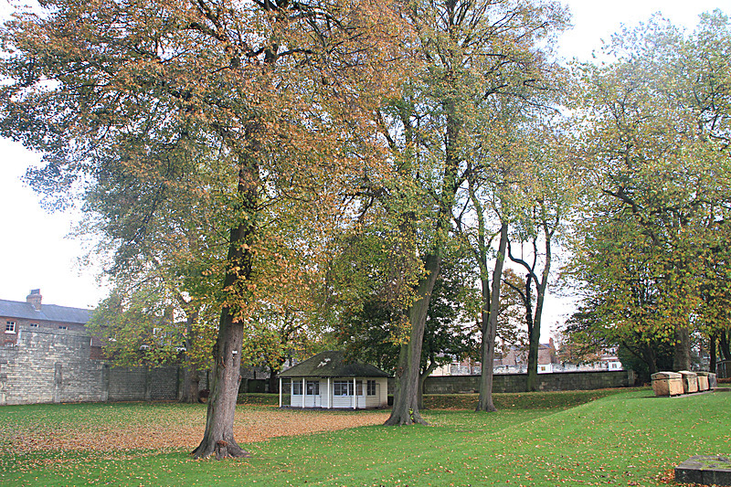 OCTOBER  2014    - FOUR SEASONS MUSEUM GARDENS