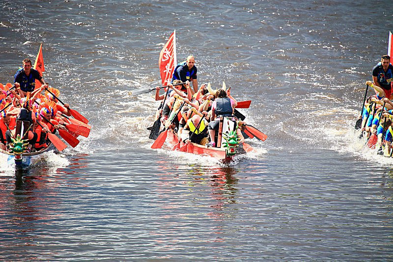 DRAGON BOAT RACE 10 July 2016 - 481 of 549 - DRAGON BOAT RACES 2016 York Rotary Club