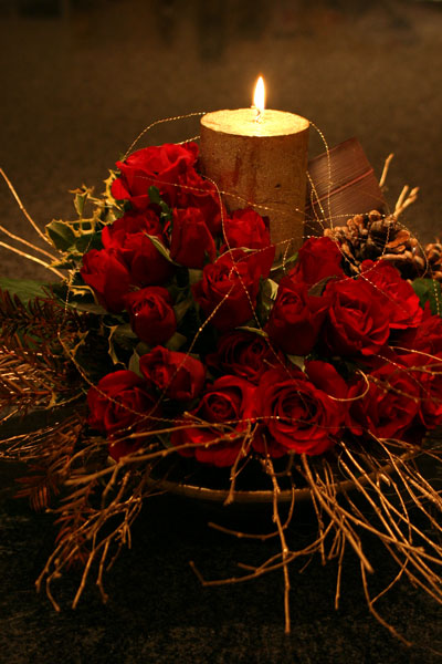 20 Roses - CHRISTMAS