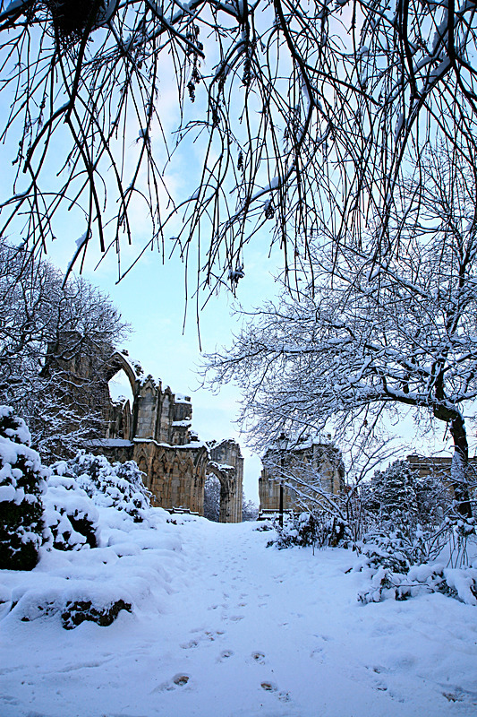 JANUARY 2010-2 - FOUR SEASONS MUSEUM GARDENS