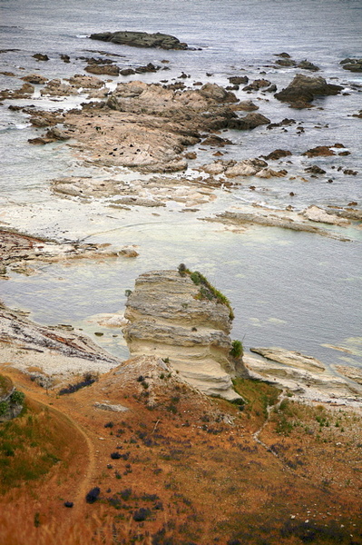 KAIKURA BEACH - NEW ZEALAND