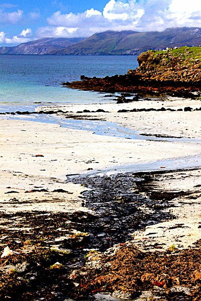 IMG_6742_2_2 - SCOTLAND 2010