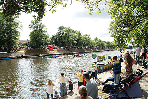 IMG_8515 - DRAGON BOAT RACE 2014 York Rotary Club