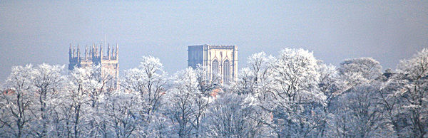 IMG3_2118 MINSTER AND FROSTED TREES FROM YORK KNAVESMIRE copy 6 - YORK AGAINST CANCER CHRISTMAS 2013