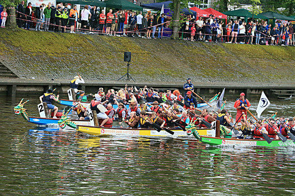 IMGL6494 - DRAGON BOAT RACE 2014 York Rotary Club