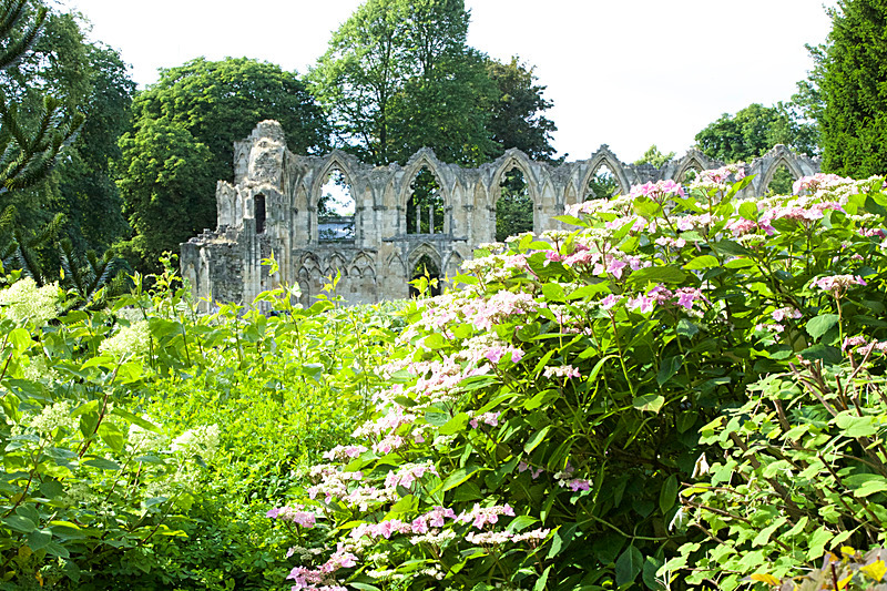 JULY 2014  -9 - FOUR SEASONS MUSEUM GARDENS