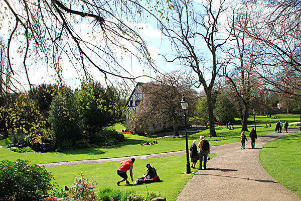 IMG_3280 - MUSEUM GARDENS