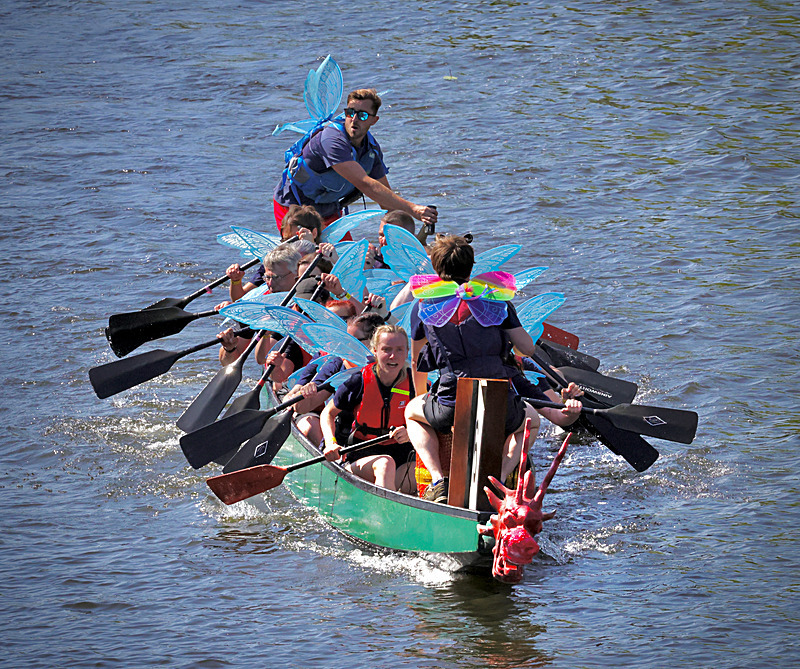 THE YORK ROTARY DRAGON BOAT CHALLENGE 2026 - 340 of 426 - DRAGON BOAT RACE 2026. York Rotary Club.