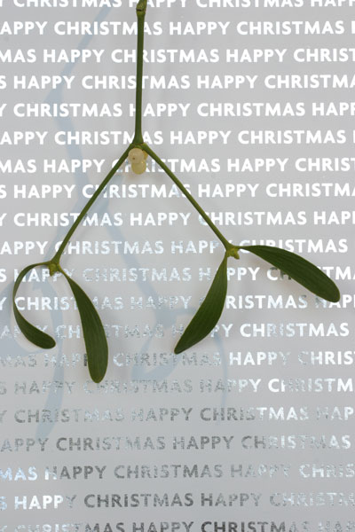 7  Mistletoe - CHRISTMAS