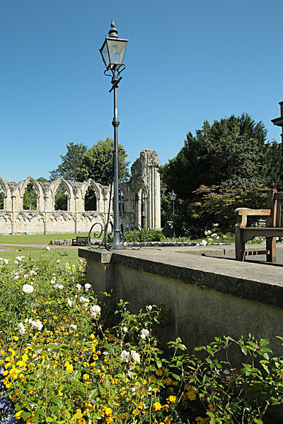 IMGL7775_2 - MUSEUM GARDENS