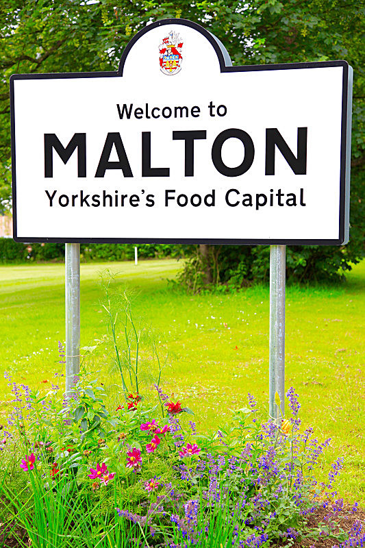 IMG_3400 - MALTON IN BLOOM 2017