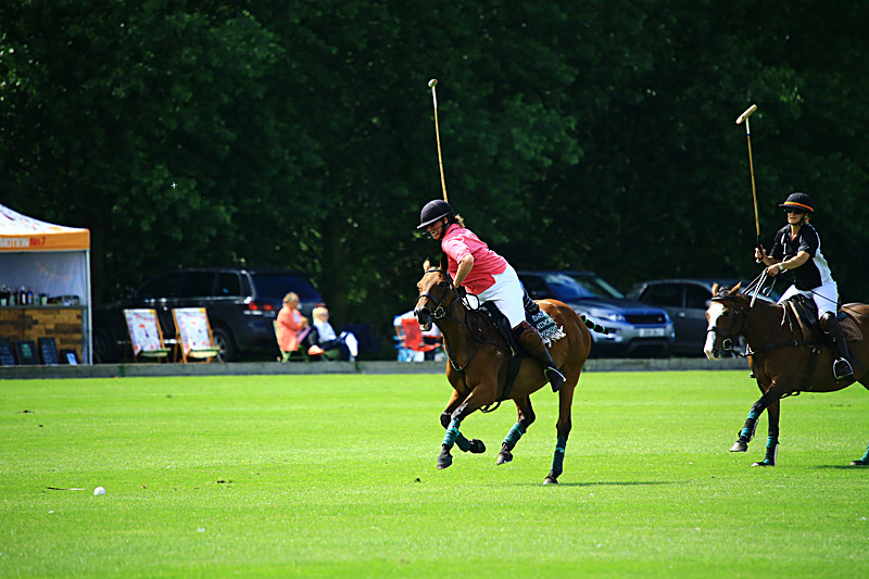 BV6R6756 - WHITE ROSE POLO CLUB LADIES DAY