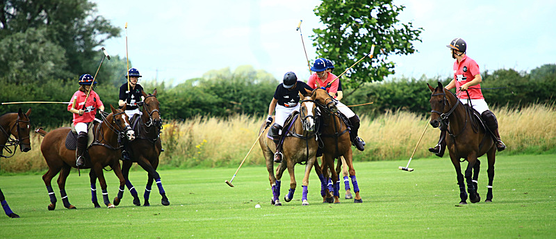 BV6R6790 - WHITE ROSE POLO CLUB LADIES DAY