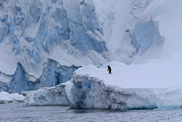  - ANTARCTICA NOV 2014