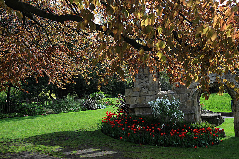 MAY 2015-3 - FOUR SEASONS MUSEUM GARDENS
