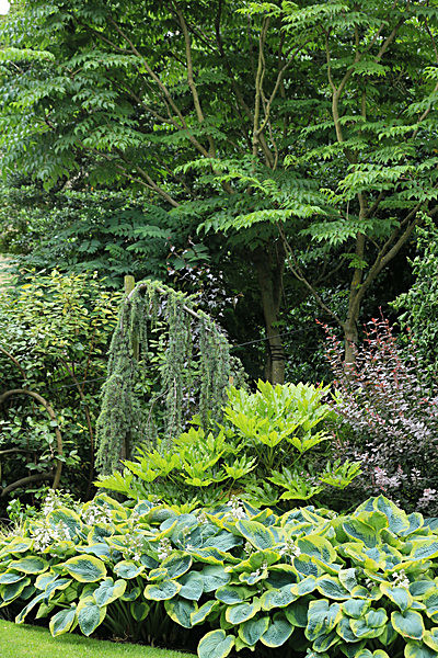 IMGL5682_2 - MUSEUM GARDENS