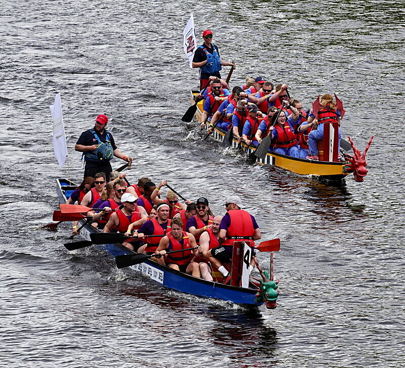 0I9A7159 - DRAGON BOAT RACE 2025
