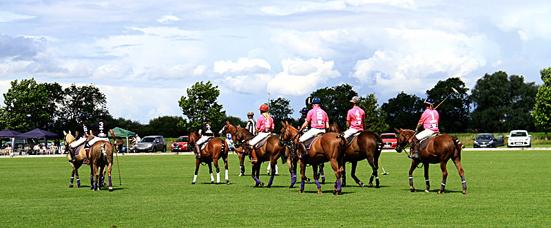 IMG_7627 - WHITE ROSE POLO CLUB LADIES DAY
