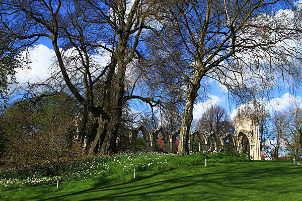 IMG_3289 - MUSEUM GARDENS