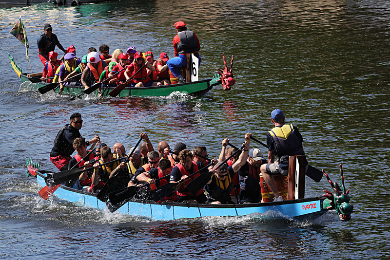 THE YORK ROTARY DRAGON BOAT CHALLENGE 2026 - 314 of 426 - DRAGON BOAT RACE 2026. York Rotary Club.
