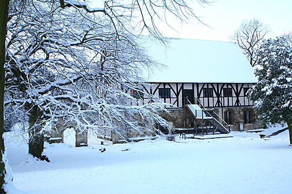 IMG_0411 - MUSEUM GARDENS