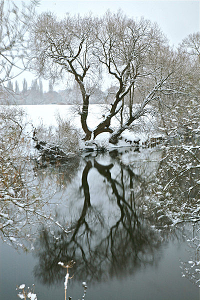 IMG_0735_2 FROSTED REFLECTIONS RIVER OUSE FROM CLIFTON BRIDGE YORK - YORK SNOW 2008