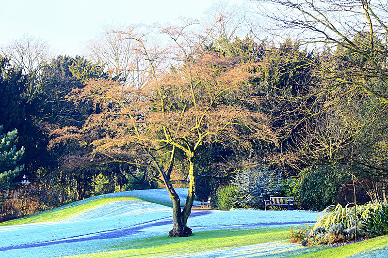 DECEMBER 2014-4 - FOUR SEASONS MUSEUM GARDENS
