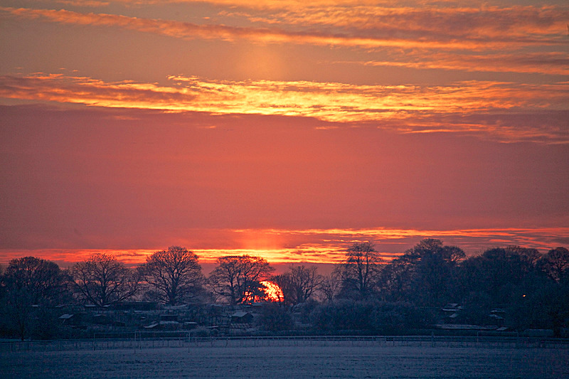 IMG_1894 WINTER SUNRISE YORK KNAVESMIRE copy - Version 2 - FOUR SEASONS MUSEUM GARDENS