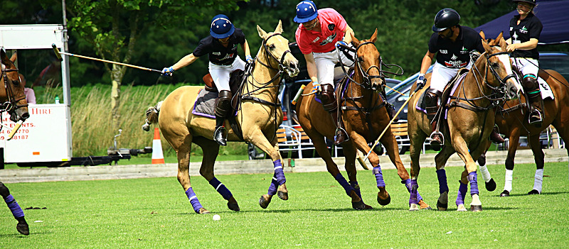 BV6R6809 - WHITE ROSE POLO CLUB LADIES DAY