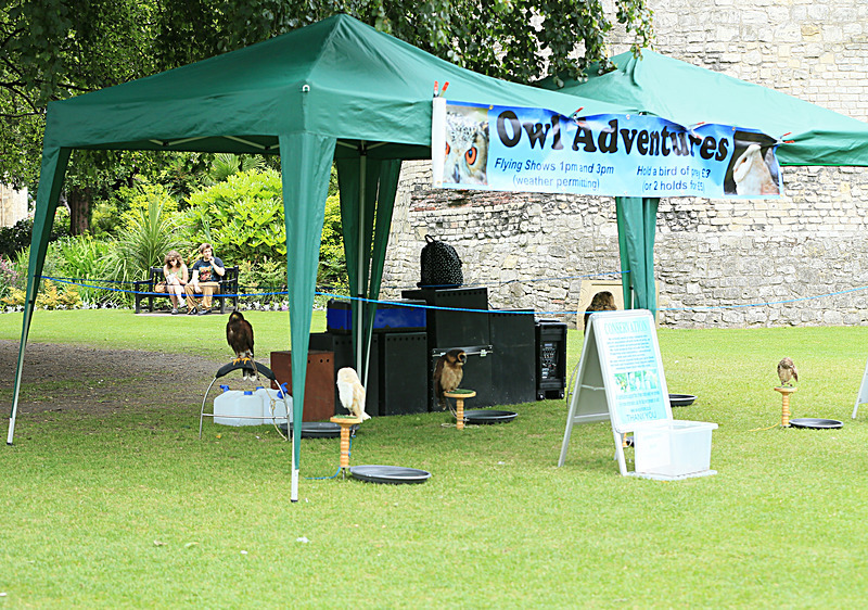 JUNE 2014-17 - FOUR SEASONS MUSEUM GARDENS