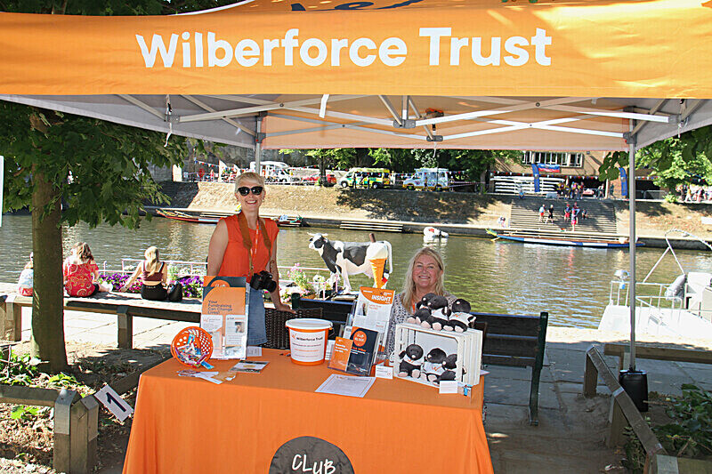 IMG_8130 - DRAGON BOAT RACE  2022