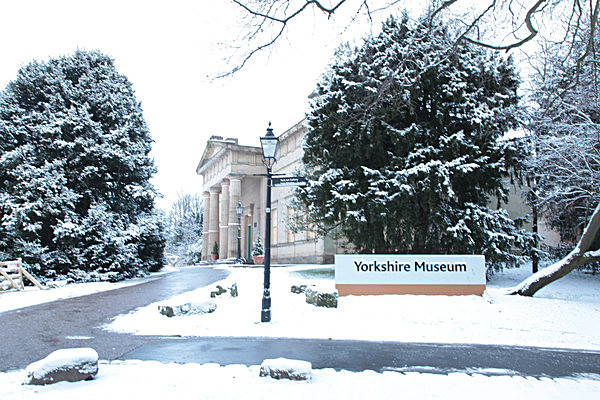IMG_8341 2 - MUSEUM GARDENS