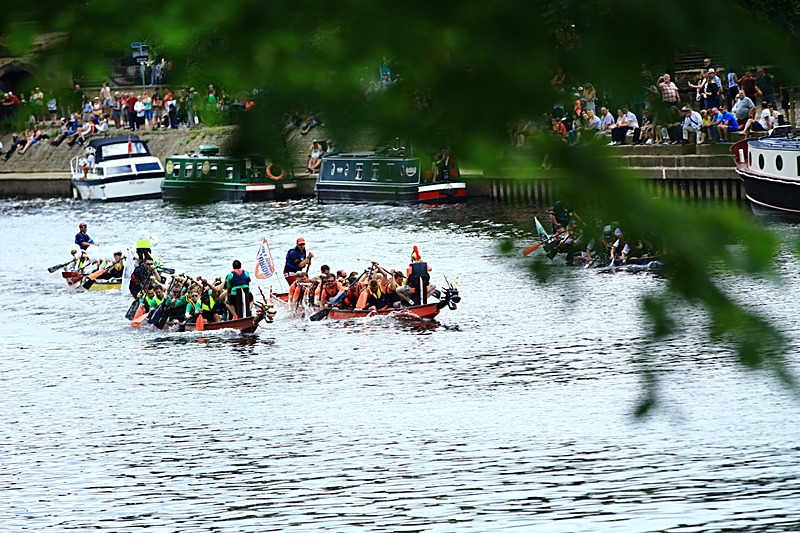 BV6R4312 - DRAGON BOAT RACE 2017