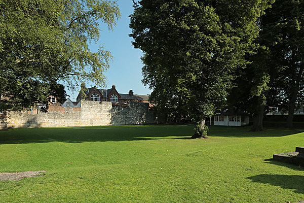 IMGL7621 - MUSEUM GARDENS