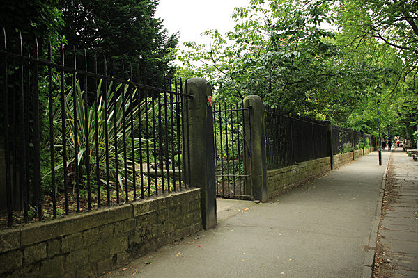 IMG_7573 - MUSEUM GARDENS
