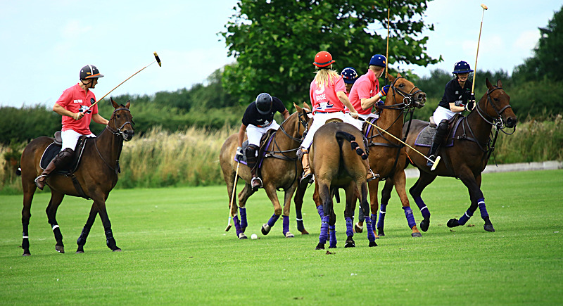 BV6R6792 - WHITE ROSE POLO CLUB LADIES DAY